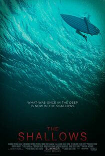 دانلود فیلم The Shallows 20166608-2039412224