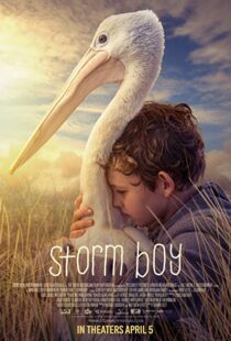 دانلود فیلم Storm Boy 20199003-1860296040