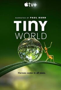 دانلود مستند Tiny World52124-1587561545