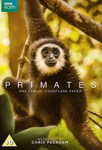 دانلود مستند Primates77865-126074736