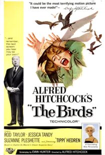 دانلود فیلم The Birds 196382372-972422338
