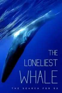 دانلود فیلم The Loneliest Whale: The Search for 52 2021403098-171579986