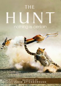 دانلود سریال The Hunt407007-413513791