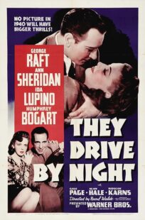 دانلود فیلم They Drive by Night 1940411221-423391609