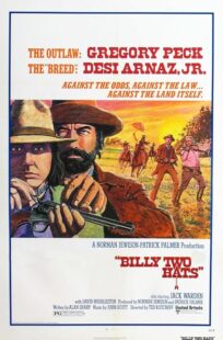 دانلود فیلم Billy Two Hats 1974411057-1884607388