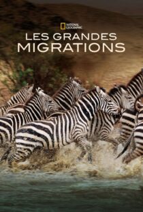 دانلود مستند Great Migrations417146-1131260419