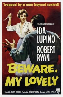 دانلود فیلم Beware, My Lovely 1952420627-1201519796