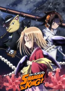 دانلود انیمه Shaman King422246-232613350