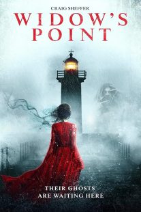 دانلود فیلم Widow’s Point 2019428433-1590248482
