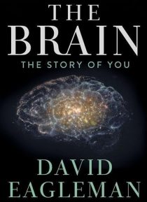 دانلود سریال The Brain with Dr. David Eagleman428613-1059264252