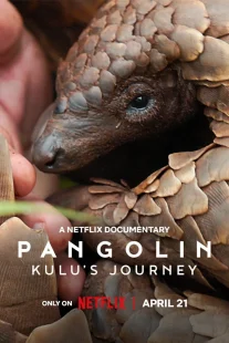 دانلود مستند Pangolin: Kulu’s Journey 2025430703-1928014982