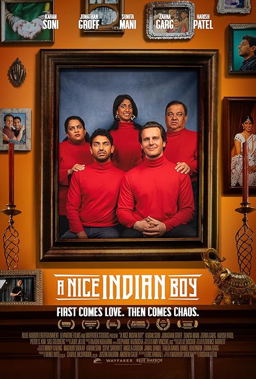 دانلود فیلم A Nice Indian Boy 2024